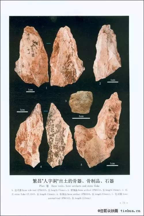 1繁昌”人字洞“出土的骨器、骨制品、石器